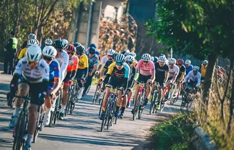 星空体育(中国)官方网站 - XINGKONG SPORTS